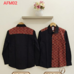 AFM02